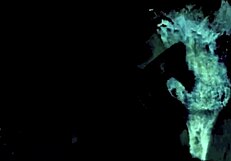 Explore vintage seventies porn shoot with hairy pussy group action