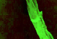 fan gifts nice lingerie want to see me relax