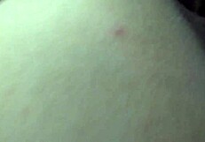 Horny housewife lets him breed her pussy before cuckold returns