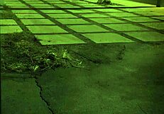 Teen says, 'Check out anal piss and home orgy HD!'