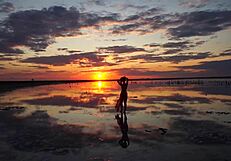 Walking in red sunset at Elton Salt Lake.