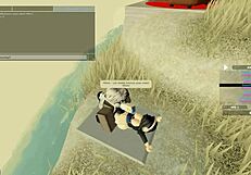 Exploring adventures in the Roblox world with friends