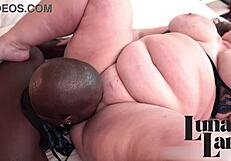 Amateur Bride Screams During First Time Wedding Night Fuck