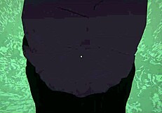 Yukoshvr kafka and furina alternate turns with goth boy