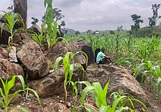 we went to the farm to fuck part 2