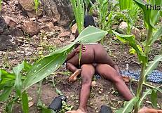 we went to the farm to fuck part 2