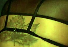 She Loves Submission: Sucking, Fucking, And Cum In Her Pussy.