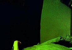 girl tied up made to squirt