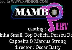 Larinha fucks four big cocks