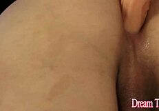 hot tranny sa fontenelle jerks off with dildo in ass