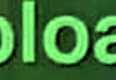 Loira Suzie enjoys oral with trans slut