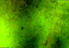 amateur black couple in doggystyle position