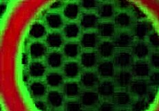 Mark White CUMS in Hot Samantha Rone's Mouth, FACIALIZED