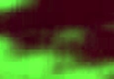 You See That Bitch Getting Blacked On The Beach?