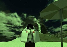 You See That Bitch Getting Blacked On The Beach?