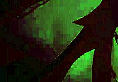 the girl is hot and sexy