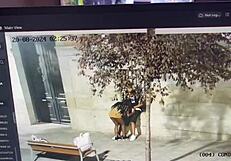 Kissing cock in public street