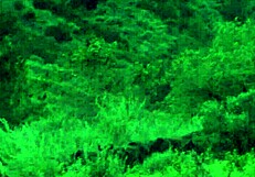 Will brooke ballentyne seduce the hired ranch hand by the fireside outdoors?