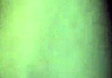 What are you hiding under that g-string in the woods?