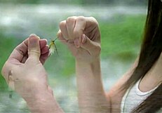 شاهد مشهد سكس فيلم جاسوس كوري؟