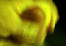 business jerk off movie session