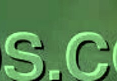 한국 매춘부 오럴 섹스 씬에서 자지 빨아