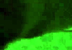 Oh wow, that titfuck by asdfgh in the year of the goat is insanely hot and wild!