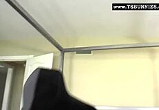 black shemale reveals her huge meat in lingerie