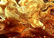 Welcome to Colombia Sexy Teen Bruna Santos in First Gangbang