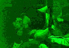 Girlfriend Gets Intense Homemade Fucking Session