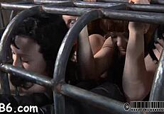 Ferocious Whipping for Hotty