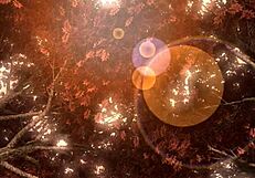 i admire hatsune miku in velvet arabesque project diva nude mod full nude