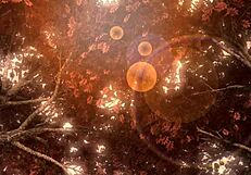 i admire hatsune miku in velvet arabesque project diva nude mod full nude