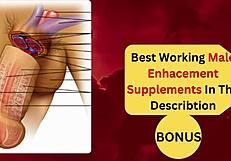 top bdsm porn stars princess donna snow