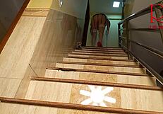 Hey, Watch This Depraved Maid Regina Noir Show Off Her Pussy While Cleaning The Stairs?