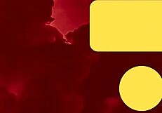 top bdsm porn stars princess donna snow