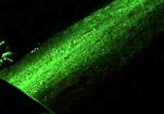 spying on my wife cheating with lover