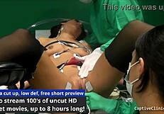 nova morska prašička Alexis Grace