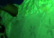 Hot Wife Doggy Style Teasing You