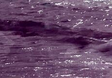 fulfilling amateur milfs part 5 amateurs recorded spoken in german