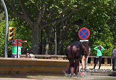 Spanish hottie gangbanged in public!