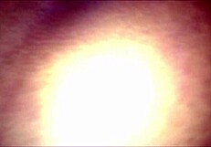 Rasgando O Cu Da Morena Anal