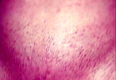 Kitty Riding Nice Cock