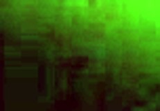 blowjob and exposing body with big cock and wet pussy