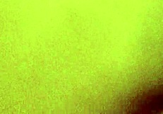 blowjob and exposing body with big cock and wet pussy