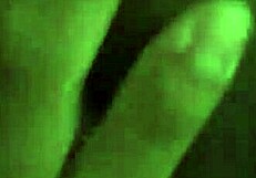 Big booty ebony girlfriend takes bbc