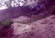 outdoor night fuck under the stars 😏