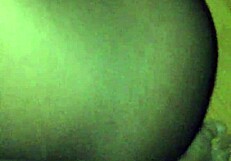 She pretended it was her first time as an escort, laughing at the situation