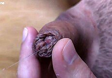 Süße Maus bläst kleinen Schwanz für geilen Saft