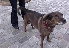 성숙 통통 금발 삼썸 해낼까?